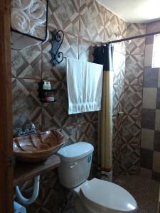 ein Bad mit einem WC und einem Waschbecken in der Unterkunft Hotel Posada El Camino in Chignahuapan