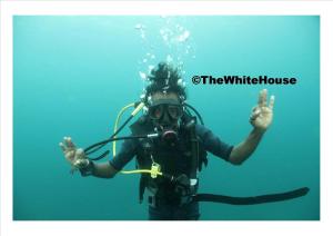 Majutusasutuse The White House külastajad