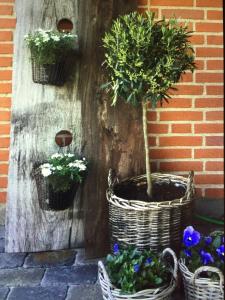 three baskets with plants and flowers on a wall at Anita's B & B in Jelling