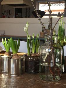 een groep planten in vazen op een tafel bij Anita's B & B in Jelling