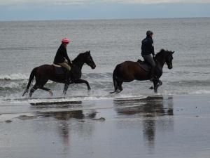two people riding horses in the water on the beach at Boddenpieper in Born
