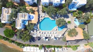 The swimming pool at or close to Omar Hotel & Suites