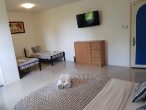 Televisyen dan/atau pusat hiburan di D´Gecko Hotel