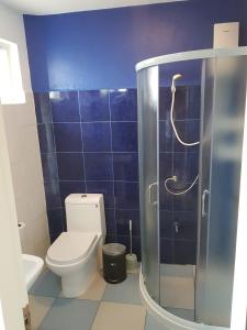 Bilik mandi di D´Gecko Hotel