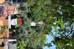 パレオカストリッツアにあるPonte Rossa Apartmentsの建物脇の植物群