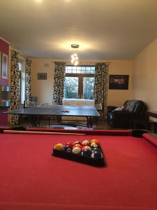 een biljartkamer met een pooltafel met ballen erop bij Riverdale in Carlingford