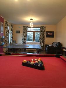 a billiard room with a pool table with balls on it at Riverdale in Carlingford