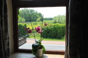Zahrada ubytování Polder 27