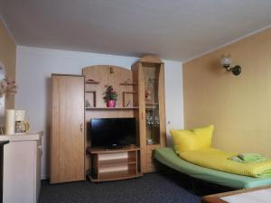 TV a/nebo společenská místnost v ubytování Spreewald Ferienwohnung Wollgast