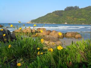 un grupo de rocas en una playa con flores en Apartamento Bay Conceicao, en Bombinhas