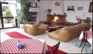 sala de estar con sofá y chimenea en Villa Kalavrita Hotel, en Kalavrita
