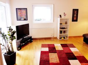 sala de estar con TV y alfombra en Ferienunterkunft Börner en Ehlscheid