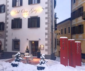 Hotel Orso Grigio v zimě