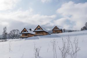 チスナにあるKrzywy Zakątekの雪中の木造家屋群