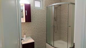 a bathroom with a shower and a sink at Autumn Bliss Apartment in Timişoara +30 photos