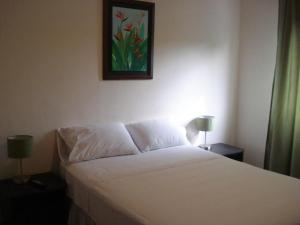a bedroom with a white bed with a painting on the wall at Hotel Iguana Azul in Honda