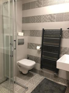 a bathroom with a toilet and a glass shower at CE Apartment Wenceslas sq in Prague