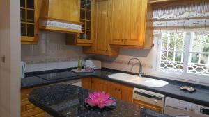 a kitchen with a sink and a pink flower on a counter at Apartamento Nerja Beach in Nerja