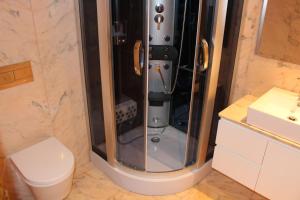 a shower in a bathroom with a toilet at Apartamento Latino Coelho in Póvoa de Varzim +23 photos