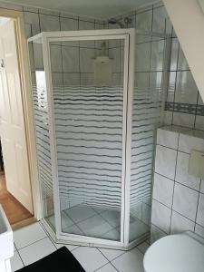 a shower with glass doors in a bathroom at Je Suis Durbuy 84 Sunclass in Durbuy