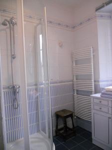 y baño con ducha, aseo y lavamanos. en Gite Le Saint Anne, en Équilly