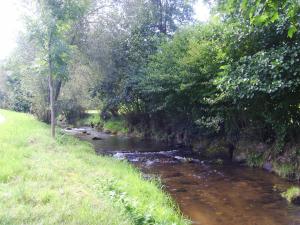 a stream of water next to a field with trees at Ferienwohnung Himmelsbach in Schuttertal