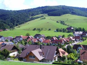 a village with houses and a green hill at Ferienwohnung Himmelsbach in Schuttertal