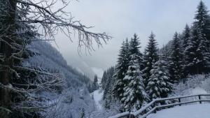 Fotografia z galérie ubytovania Mountain apartment Innerkrems v destinácii Innerkrems