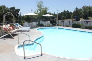 una gran piscina con sillas y sombrillas en Scenic Hills Inn en Branson