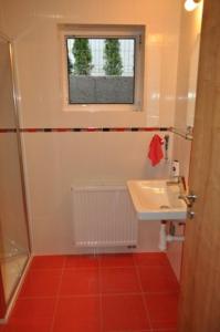 a bathroom with a shower and a sink and a window at Moderni Domek Lipno in Lipno nad Vltavou