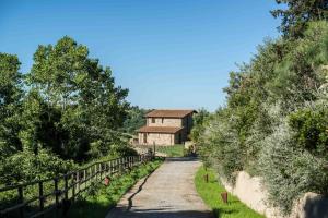 una strada sterrata che conduce a un edificio su una collina di Home with a view in Scansano, Tuscany a Scansano