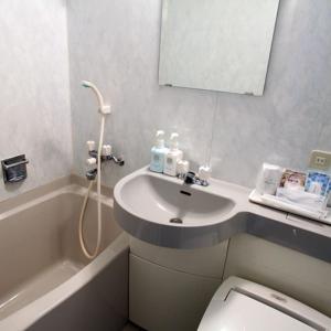 Koupelna v ubytování Hotel Housen Soka