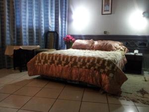 Gallery image of Hotel La Giralda in Nador