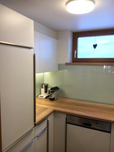 eine Küche mit einem Kühlschrank und einem Fenster in der Unterkunft Alpenstern in Gaschurn