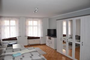 ein Wohnzimmer mit einem Sofa und einem TV in der Unterkunft Ferienwohnungen Familie Jäschke in Görlitz