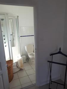 un baño con inodoro y lavabo en La Médéenne, en Alairac 37 fotos más