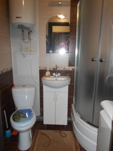 a bathroom with a toilet and a sink and a shower at Миргород. квартира посуточно центр. Евроремонт in Myrhorod