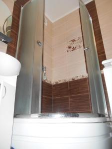 una doccia con porta in vetro in bagno di Миргород. квартира посуточно центр. Евроремонт a Myrhorod