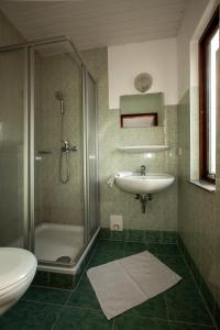 a bathroom with a shower and a sink and a toilet at Pension ,,Vier Tore'' in Neubrandenburg