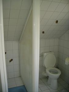 a bathroom with a toilet and a shower at Hotel Kraichgauidylle in Malsch
