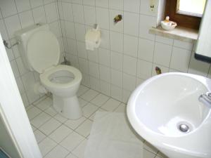 a white bathroom with a toilet and a sink at Hotel Kraichgauidylle in Malsch