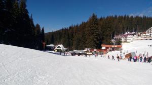 a group of people standing on a snow covered slope at Apartment Svetla in Laplandia Complex in Pamporovo