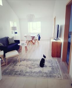 TV a/nebo společenská místnost v ubytování Hellatún Guest House!