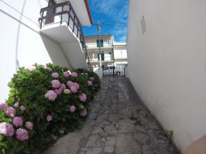 Gallery image of Stella's House in Nazaré