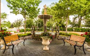 Zahrada ubytování Monte Carlo Inn Markham