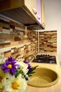 ブカレストにあるPensiune Spital Fundeniのキッチン(シンク、コンロ、花付)