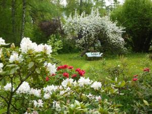 Jardín al aire libre en Villa Elmenhorst