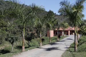 a road with palm trees in front of a house at Hotel Rural Vale das Nascentes in Salesópolis