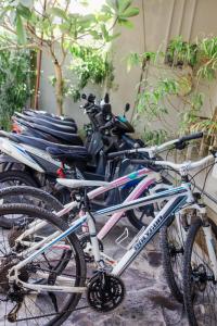 una fila di biciclette parcheggiate l'una accanto all'altra di Matra Bali Surf Camp a Canggu