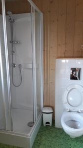 un bagno con wc e doccia in vetro di Domaine du Bugnon a Lac des Rouges Truites Altre 30 foto